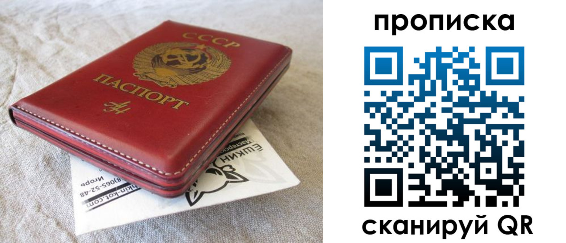 прописка для школы в Грязовце